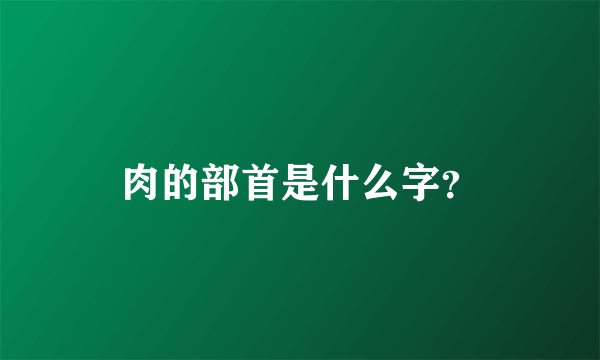 肉的部首是什么字？