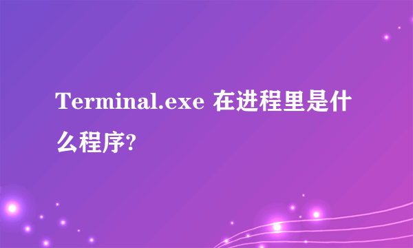 Terminal.exe 在进程里是什么程序?