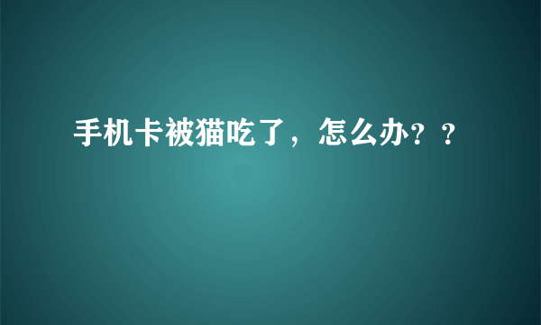 手机卡被猫吃了，怎么办？？