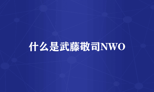 什么是武藤敬司NWO