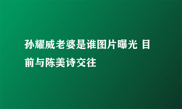 孙耀威老婆是谁图片曝光 目前与陈美诗交往