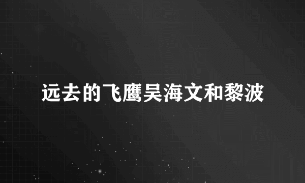 远去的飞鹰吴海文和黎波