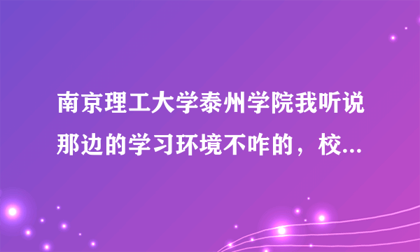 南京理工大学泰州学院我听说那边的学习环境不咋的，校内的学生素质较差真的吗？