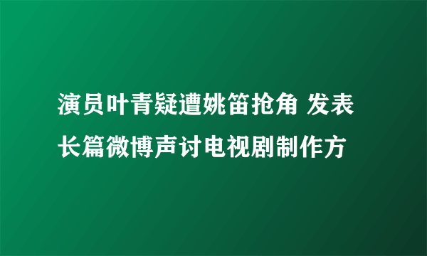 演员叶青疑遭姚笛抢角 发表长篇微博声讨电视剧制作方