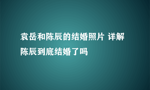 袁岳和陈辰的结婚照片 详解陈辰到底结婚了吗