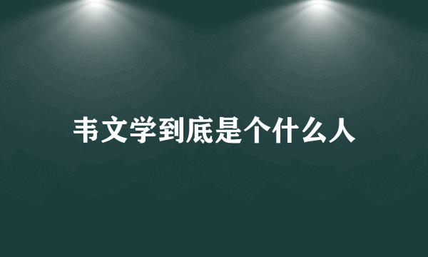 韦文学到底是个什么人