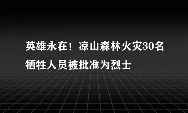 英雄永在！凉山森林火灾30名牺牲人员被批准为烈士