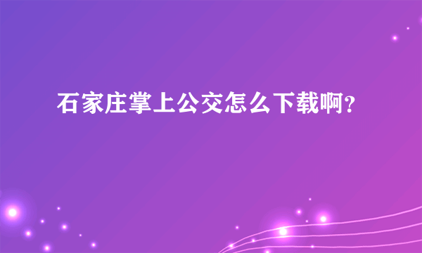 石家庄掌上公交怎么下载啊？