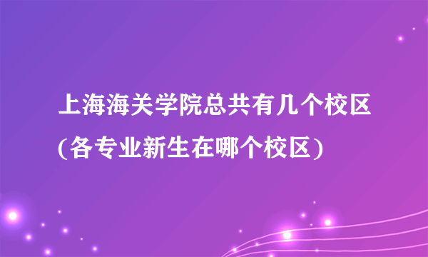 上海海关学院总共有几个校区(各专业新生在哪个校区)