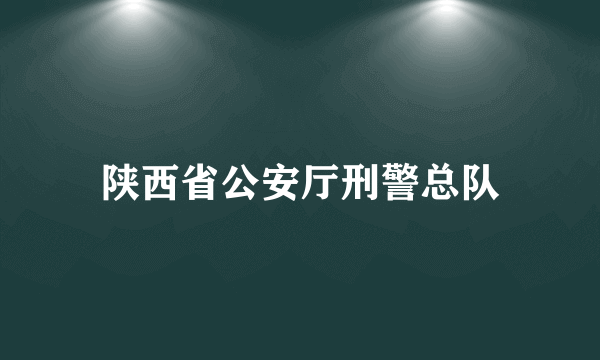 陕西省公安厅刑警总队