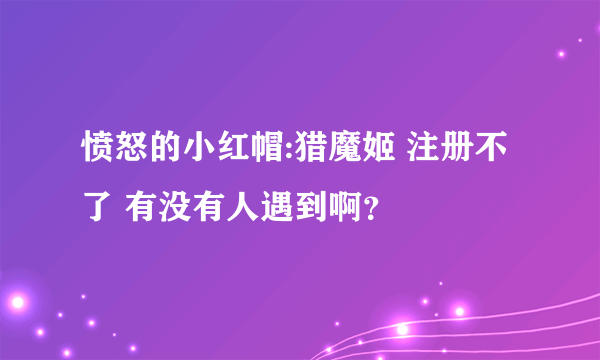 愤怒的小红帽:猎魔姬 注册不了 有没有人遇到啊？