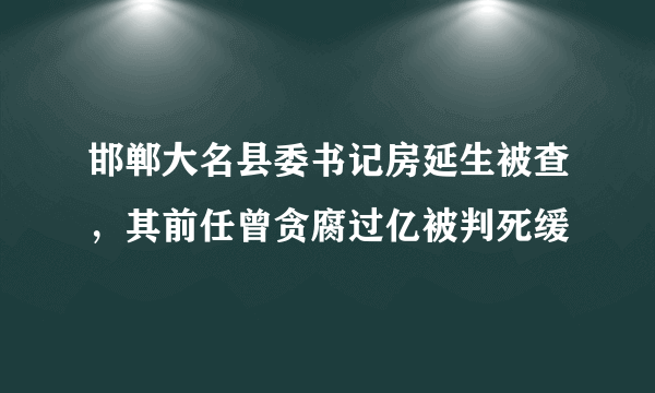 邯郸大名县委书记房延生被查，其前任曾贪腐过亿被判死缓