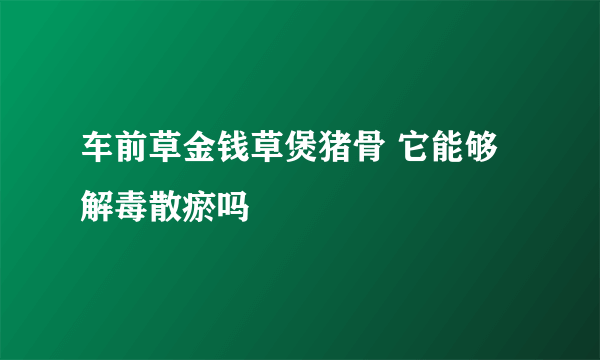 车前草金钱草煲猪骨 它能够解毒散瘀吗