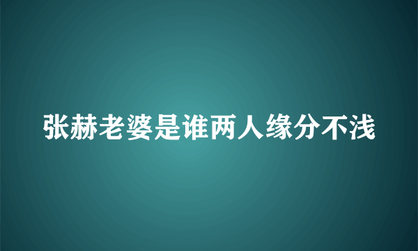 张赫老婆是谁两人缘分不浅