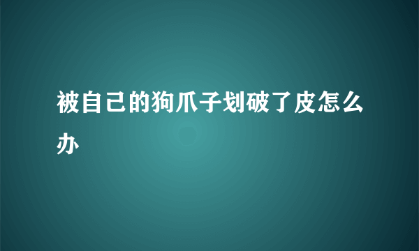 被自己的狗爪子划破了皮怎么办