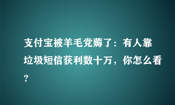 支付宝被羊毛党薅了：有人靠垃圾短信获利数十万，你怎么看？