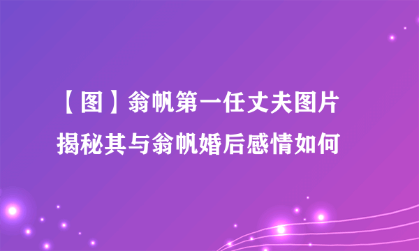 【图】翁帆第一任丈夫图片 揭秘其与翁帆婚后感情如何