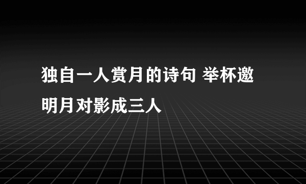 独自一人赏月的诗句 举杯邀明月对影成三人