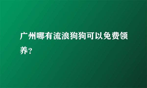 广州哪有流浪狗狗可以免费领养？