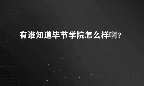 有谁知道毕节学院怎么样啊？