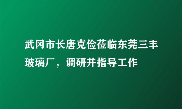 武冈市长唐克俭莅临东莞三丰玻璃厂，调研并指导工作