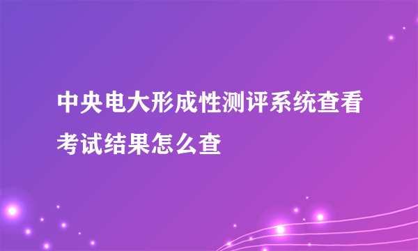 中央电大形成性测评系统查看考试结果怎么查