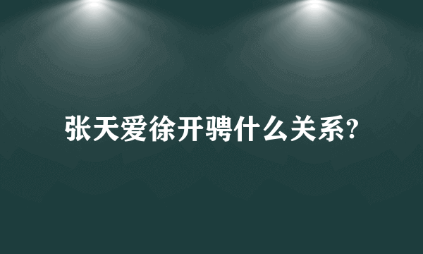 张天爱徐开骋什么关系?