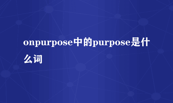 onpurpose中的purpose是什么词