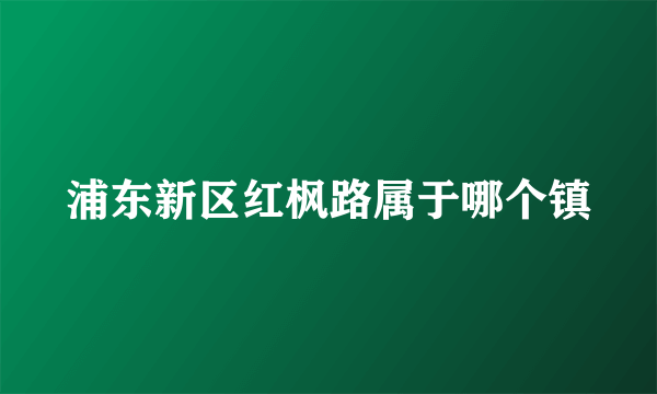 浦东新区红枫路属于哪个镇