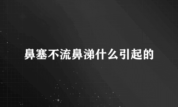 鼻塞不流鼻涕什么引起的