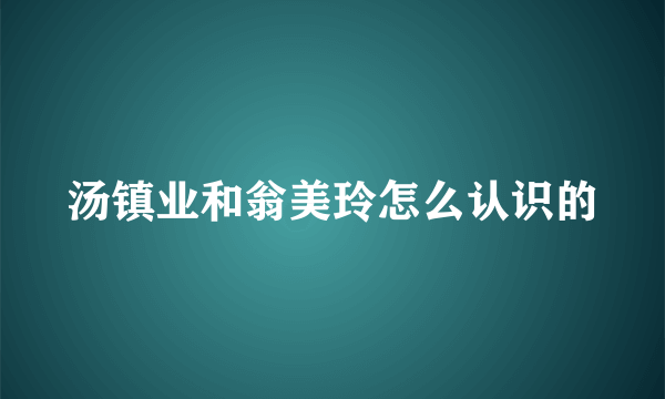 汤镇业和翁美玲怎么认识的