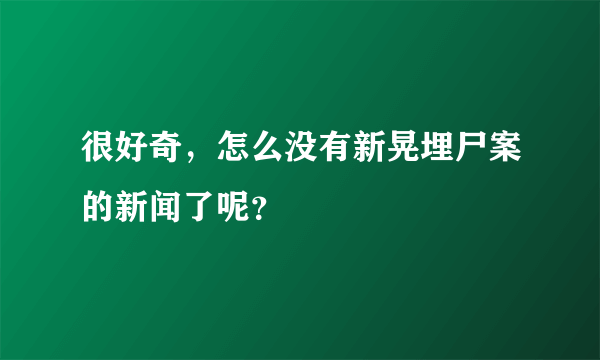 很好奇，怎么没有新晃埋尸案的新闻了呢？