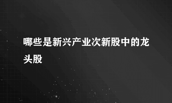 哪些是新兴产业次新股中的龙头股