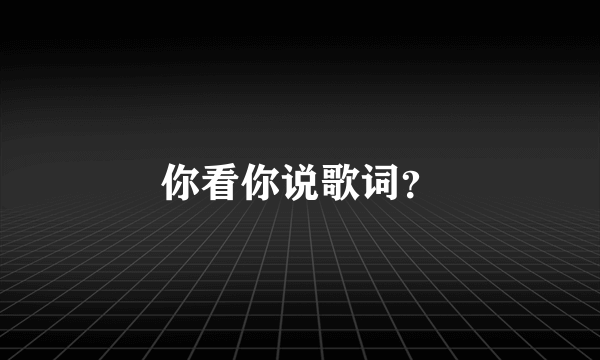 你看你说歌词？