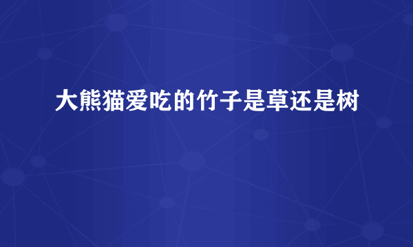 大熊猫爱吃的竹子是草还是树