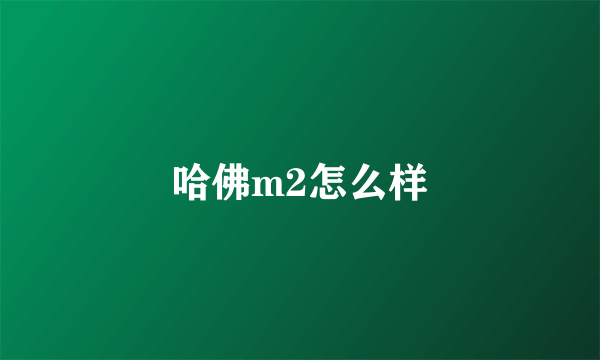 哈佛m2怎么样