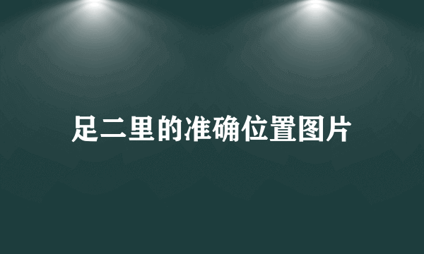 足二里的准确位置图片