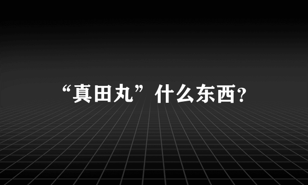 “真田丸”什么东西？