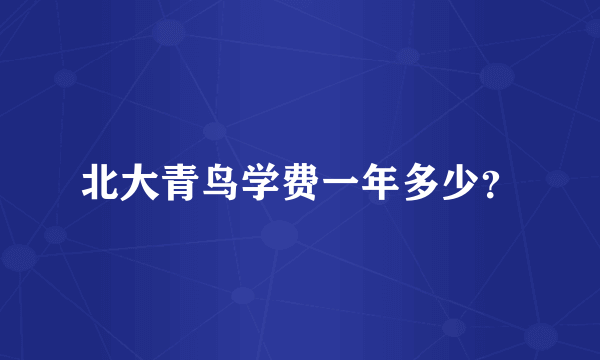 北大青鸟学费一年多少？