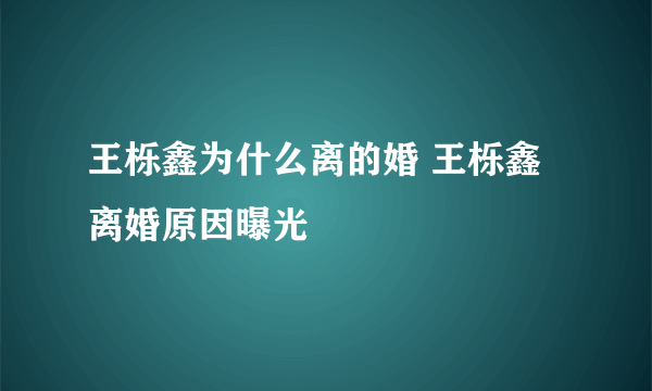 王栎鑫为什么离的婚 王栎鑫离婚原因曝光