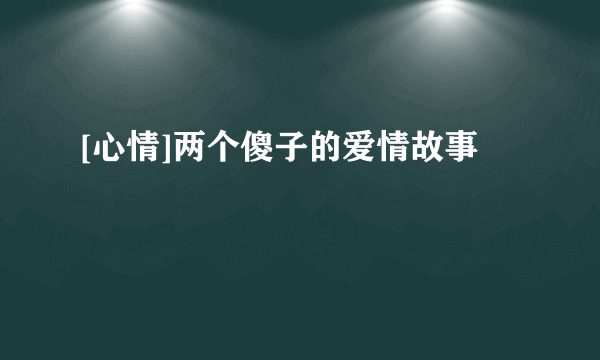 [心情]两个傻子的爱情故事