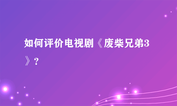 如何评价电视剧《废柴兄弟3》？