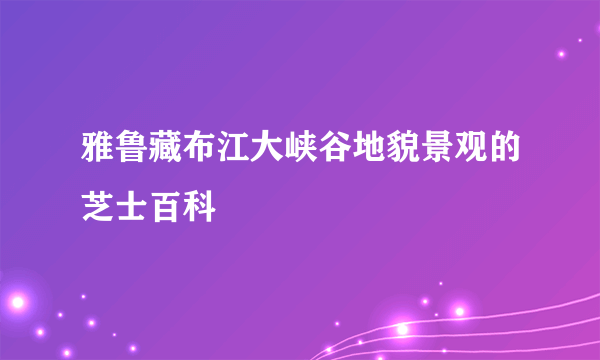 雅鲁藏布江大峡谷地貌景观的芝士百科