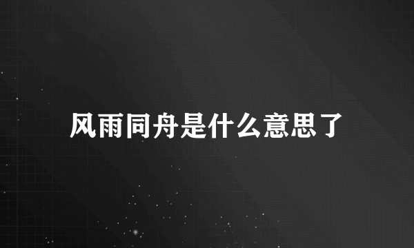 风雨同舟是什么意思了