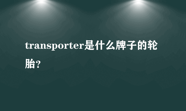 transporter是什么牌子的轮胎？