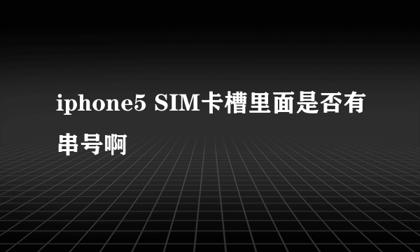 iphone5 SIM卡槽里面是否有串号啊