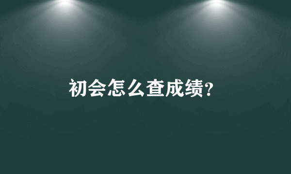 初会怎么查成绩？