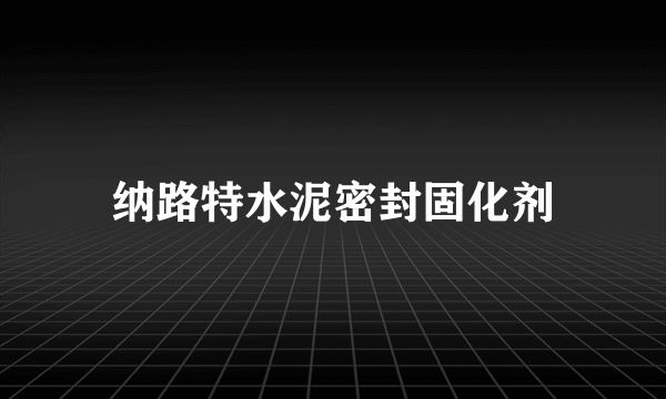 纳路特水泥密封固化剂