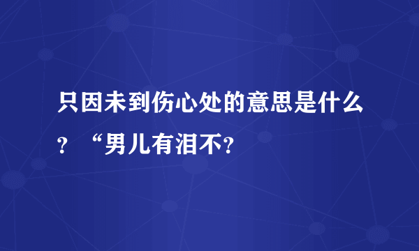 只因未到伤心处的意思是什么？“男儿有泪不？