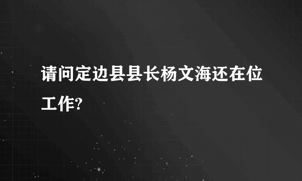 请问定边县县长杨文海还在位工作?